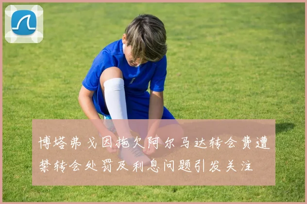 博塔弗戈因拖欠阿尔马达转会费遭禁转会处罚及利息问题引发关注