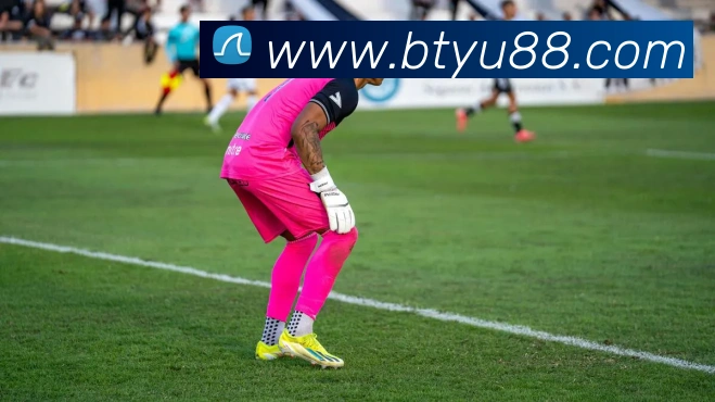 B体育APP 封面图